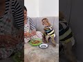 How adorable baby Monkey