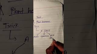 Download Lagu 🌱 Easy Tricks to Remember Plant Hormones | पौधों के हार्मोन याद करने की ट्रिक 💡| #viral #shorts MP3 Download Lagu 🌱 Easy Tricks to Remember Plant Hormones | पौधों के हार्मोन याद करने की ट्रिक 💡| #viral #shorts MP3