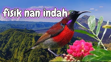 Meet The Smallest Bird On Earth Man Finds Baby Hummingbird On The Side Of The Road | The Dodo