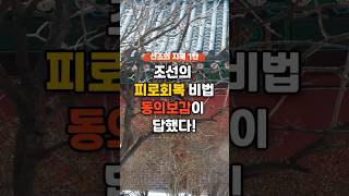 동의보감이 알려준 진짜 피로회복 음식! #피로회복 #피로해소 #동의보감 #선조의지혜