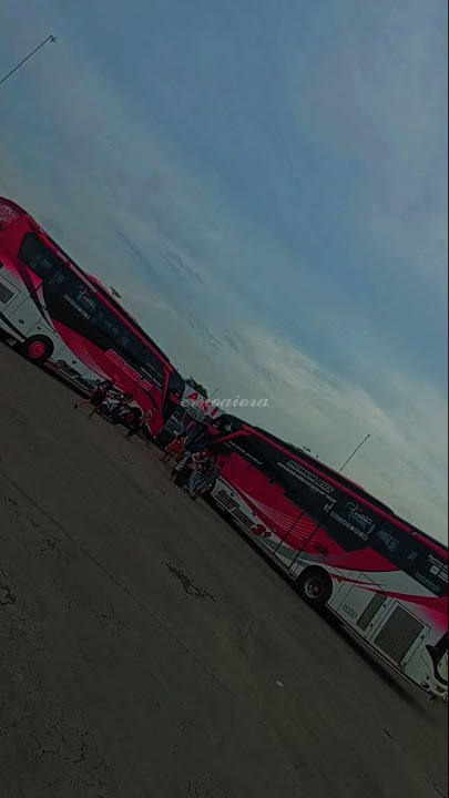 story wa bus stj bavikha #shorts #story #storywa