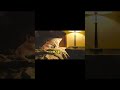 男生女生说完晚安以后 #cheems #cheems小剧场 #内容过于真实#整活
