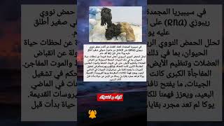 أقدم حمض نووي ريبوزي يعود لماموث صوفي منذ 40 ألف عام