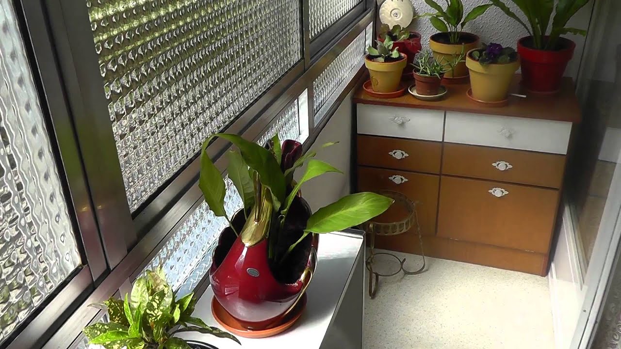 Panasonic HDC-SD90 [Test 04] - FullHD 1920x1080/50p