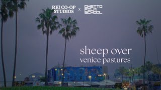 REI Co-op Studios Presents: Sheep Over Venice Pastures