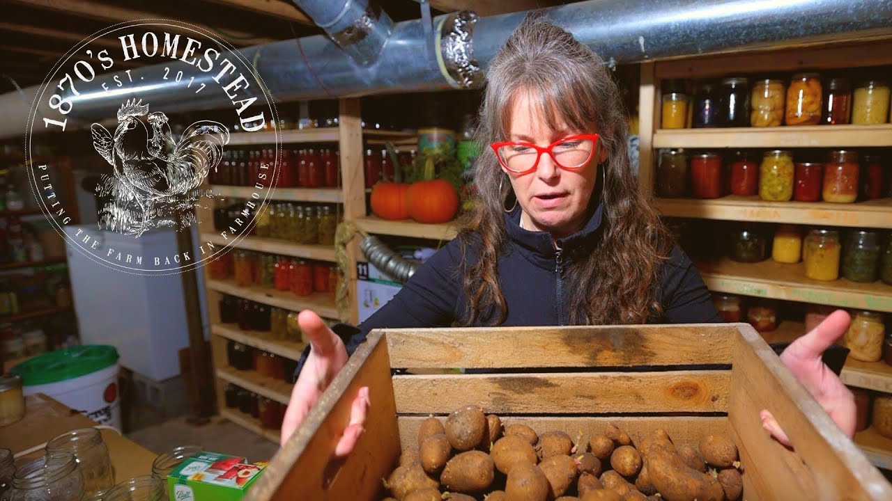 SAVE your Sprouting Potatoes Before they go BAD Easy Instant Pot