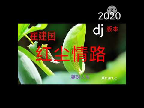 红尘情路~崔建國