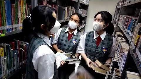 INFORMATIKA Video Data Stack