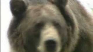 Windows Movie Maker Sample Video