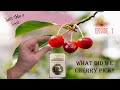 Cherry Picking Coins -- Episode 1 -- What did I find?