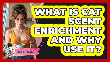What Is Cat Scent Enrichment And Why Use It? - Happy Cat Handbook