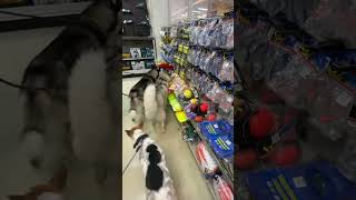 Has has ace hardware