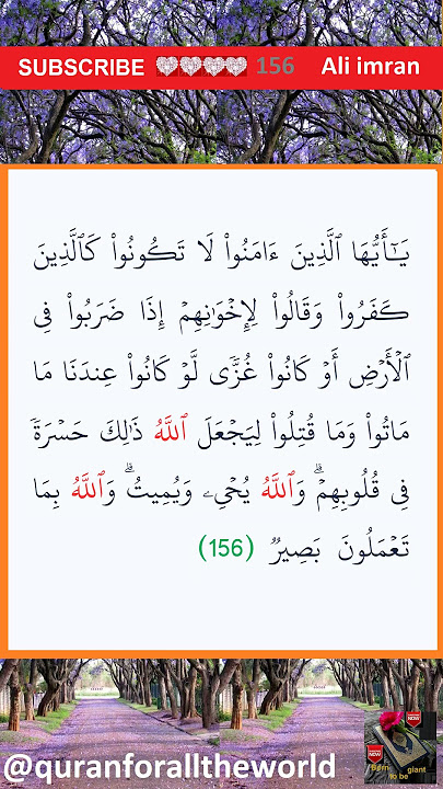 303156  how  to learn  Quran  surat Al   'Imran ayat 156 #shorts #short @quranforalltheworld