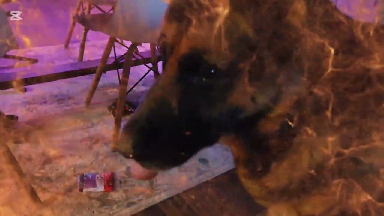 Love Hate relationship. Son & Dad 🫣