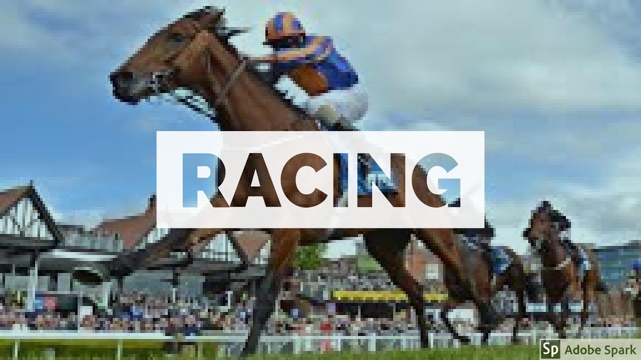 Belterra Horse Racing Schedule 2023 Belterra Horse Racing Schedule 2023