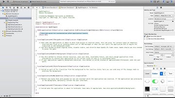Remove Storyboard from xcode 5
