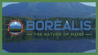 Borealis Season Three is coming soon! | Borealis @MainePublic