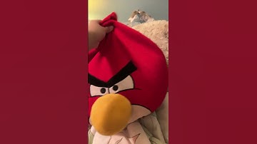 Morse code meme with G and P #alphabetlore #pxg #meme #morsecode