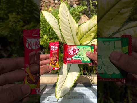 Uk KitKat 🇬🇧