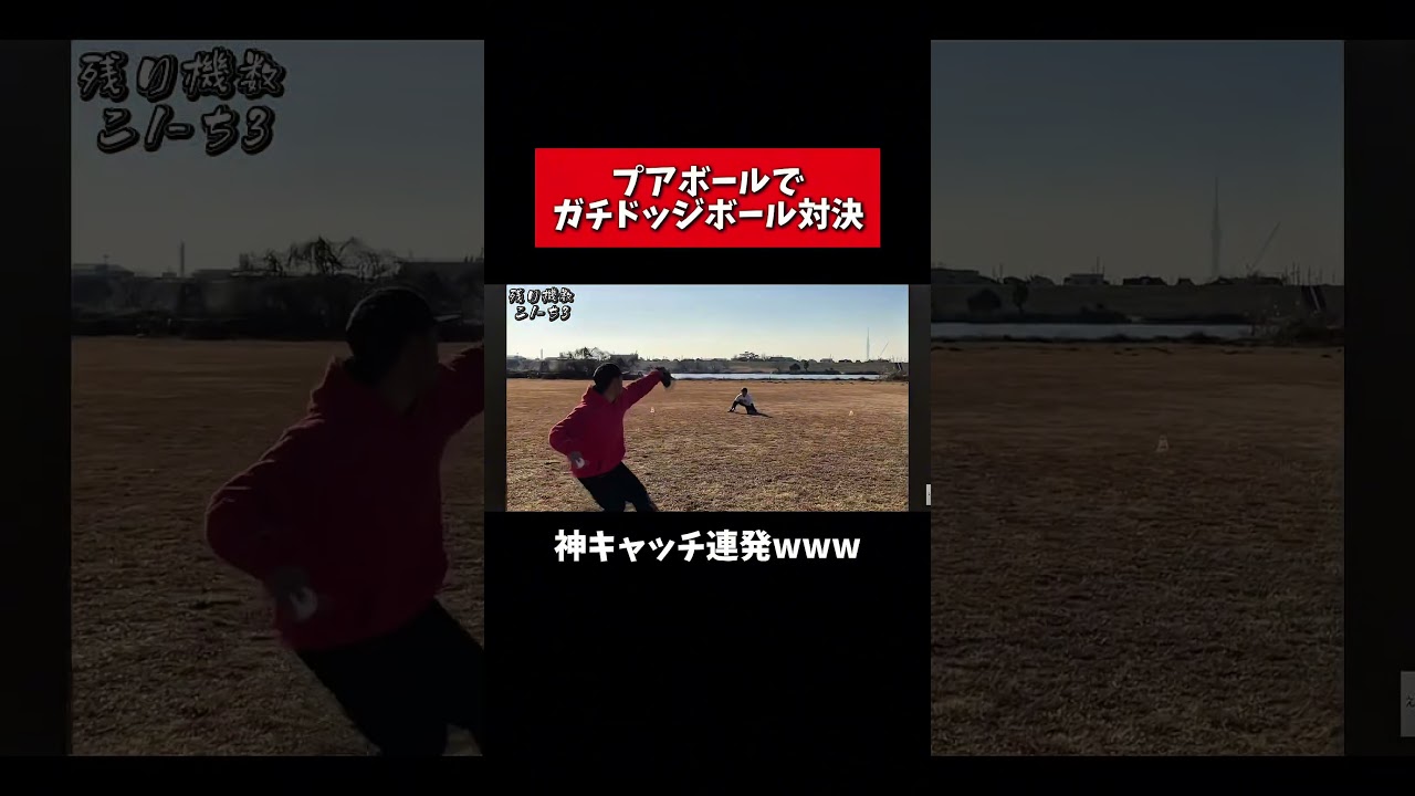 えんどれす【プアボールでドッジボール対決】#スポーツあるある #スポーツ #スポーツやろうよ #野球 #あるある #ドッジボール