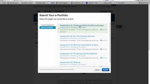 Submission of an Assignment ePortfolio 2013