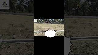 Plots near Avalpoondurai Erode #eroderealestate #dtcpapproval