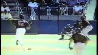 Randy Johnson Hits bird edit
