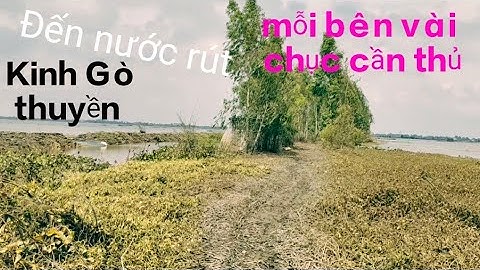Câu Cá.Trở Lại Kinh Đấu Thầu Và Cái Kết. #tranchungcuchi 