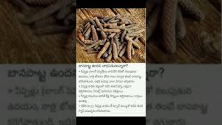 Health Tips 112 How To Reduce Belly Fat With Long Pepper trending viralshort healthtips