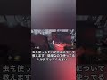昆虫を使いたきゃこれを覚えとくと強い！#第五人格＃Shorts