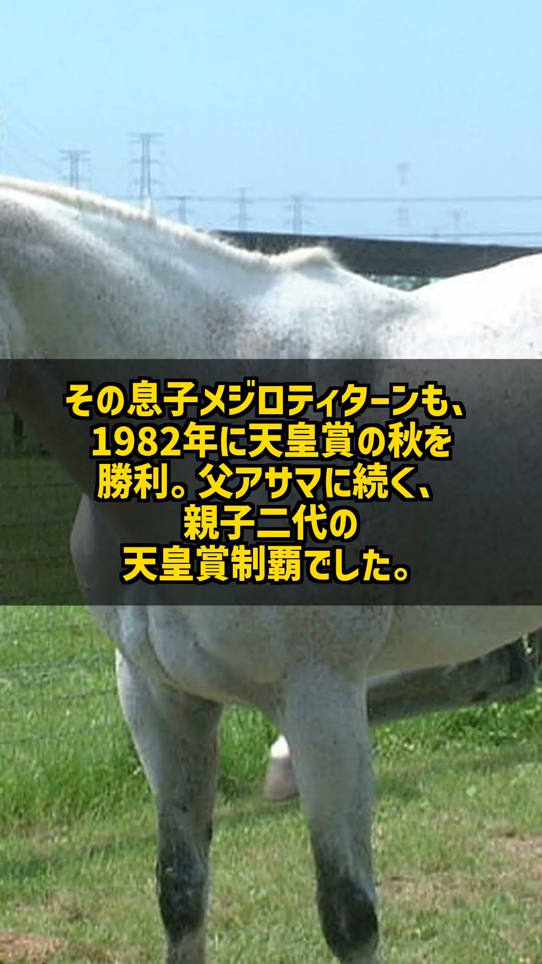 Grandfather and Father Were Tenno Sho Winners: The Bloodline of