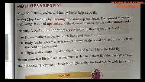 Science Lesson : Birds: beaks and claws part-2(Oxford High School , Uppugundur)