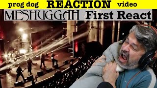 Meshuggah 'Dancers To A Discordant System' (reaction ep.554)