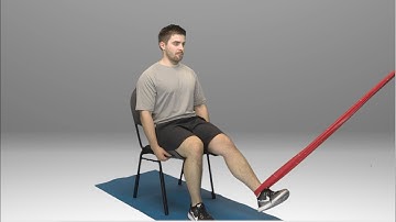 Seated Hamstring Curl with Anchored Resistance - HomeCEU