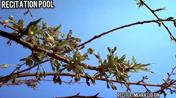 An Nisa 51-58|Mehraj ud din| تلاوة جميلة من سورة النساء 51-58