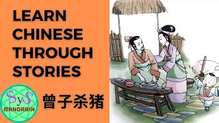 316 Learn Chinese Through Story《曾子杀猪》Zeng Zi Kills A Pig