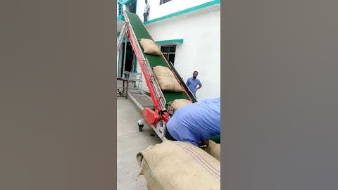 Bag loading conveyors