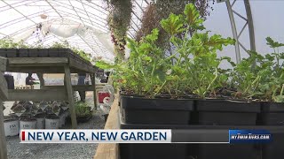 When should you start your spring garden?