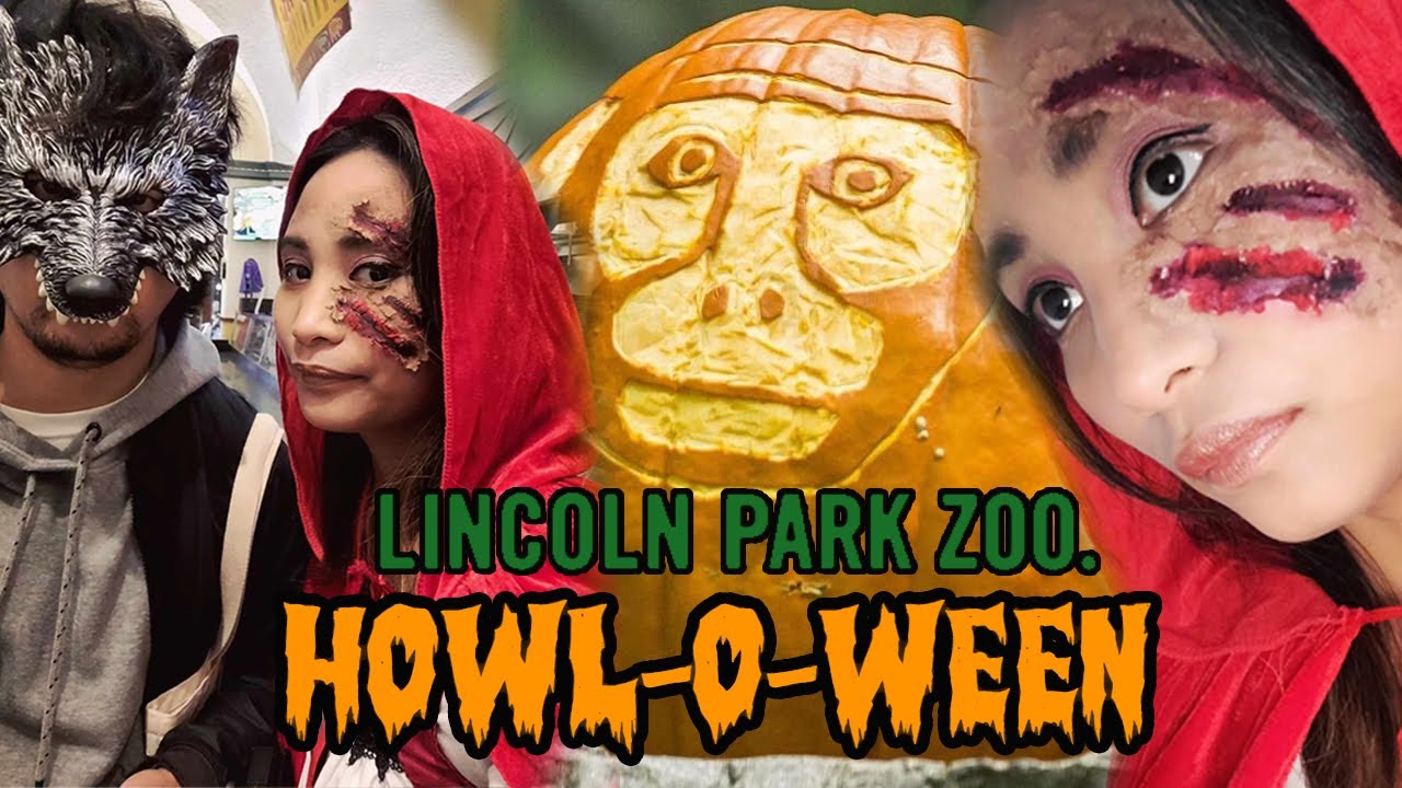 Red Riding Hood Makeup Tutorial Red Riding Hood simple makeup tutorial | Halloween Party at the zoo ...