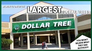 One Of The Largest Dollar Tree Stores! So Much In Stock! (Thanks Do It On a Dime for sharing this!)