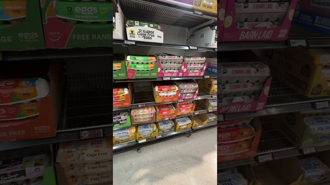 🇦🇺অস্ট্রেলিয়ায় নিত্য প্রয়োজনীয় খাদ্যদ্রব্যের দাম কেমন? Grocery price in Australia🇦🇺🇦🇺#travel