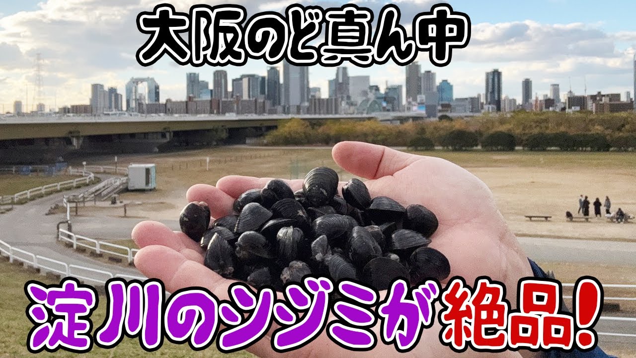 大阪のど真ん中！淀川のシジミが絶品