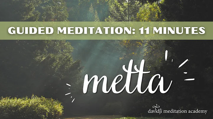 Metta - 11 Minute Guided Meditation | davidji