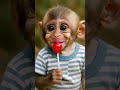 baby Monkey&rsquo;s First lollipop taste 🍭🐒