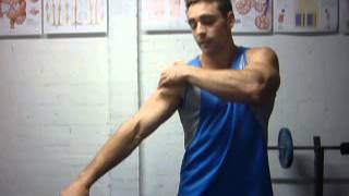 Shoulders Flextion Rotation Protraction Retraction