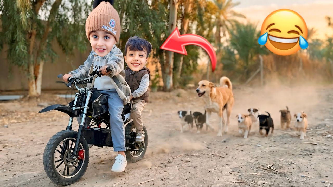 رحنا نجرّب الدراجة الرملية… وفجأة لقينا سبع جراوي! صارت كوارث😂😂