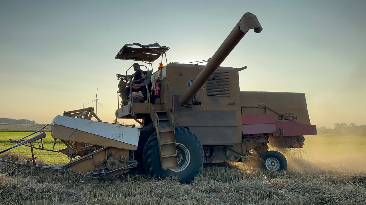 Cały Dzień na Polu – Żniwa 2025 Bizon Z056 , dłuższy film 