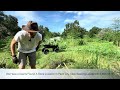 How I Make $300/Day Farming This Tree