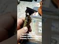 Video Image