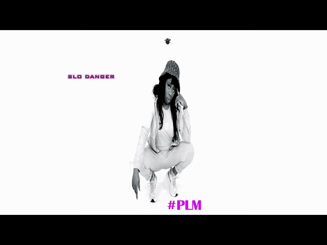 Slo Danger - #PLM (Audio)